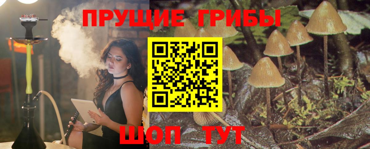 Галлюциногенные грибы MAGIC MUSHROOMS Спасск-Дальний